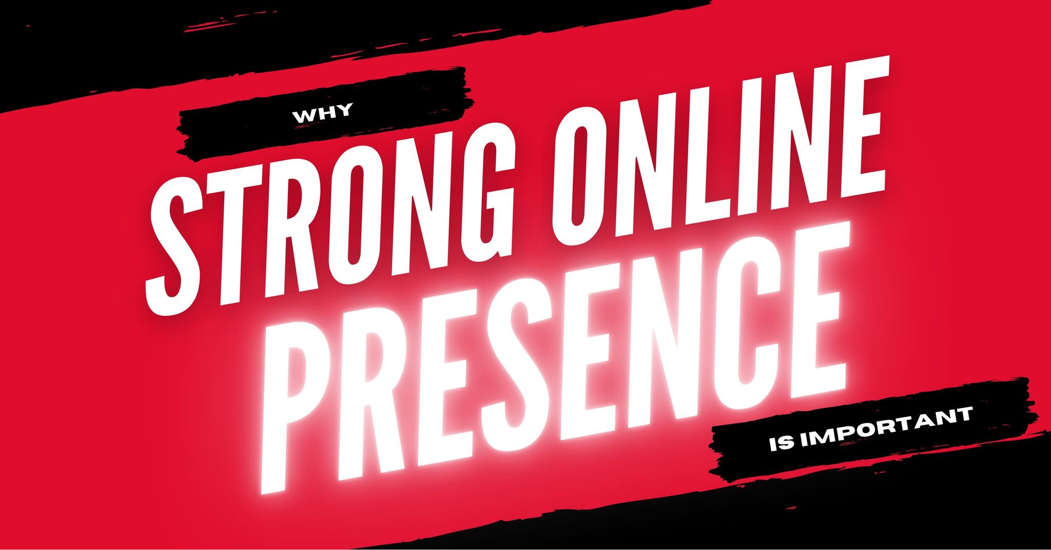 affordable website designer